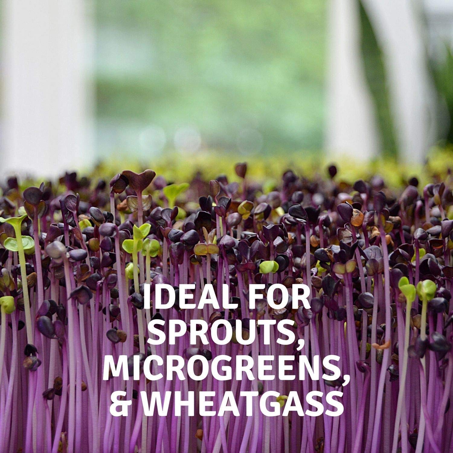 Organic Hydroponic Grow Pads for Wheatgrass & Microgreens - 100 Pack Micro-Mats for Seed Germination - Fits 20