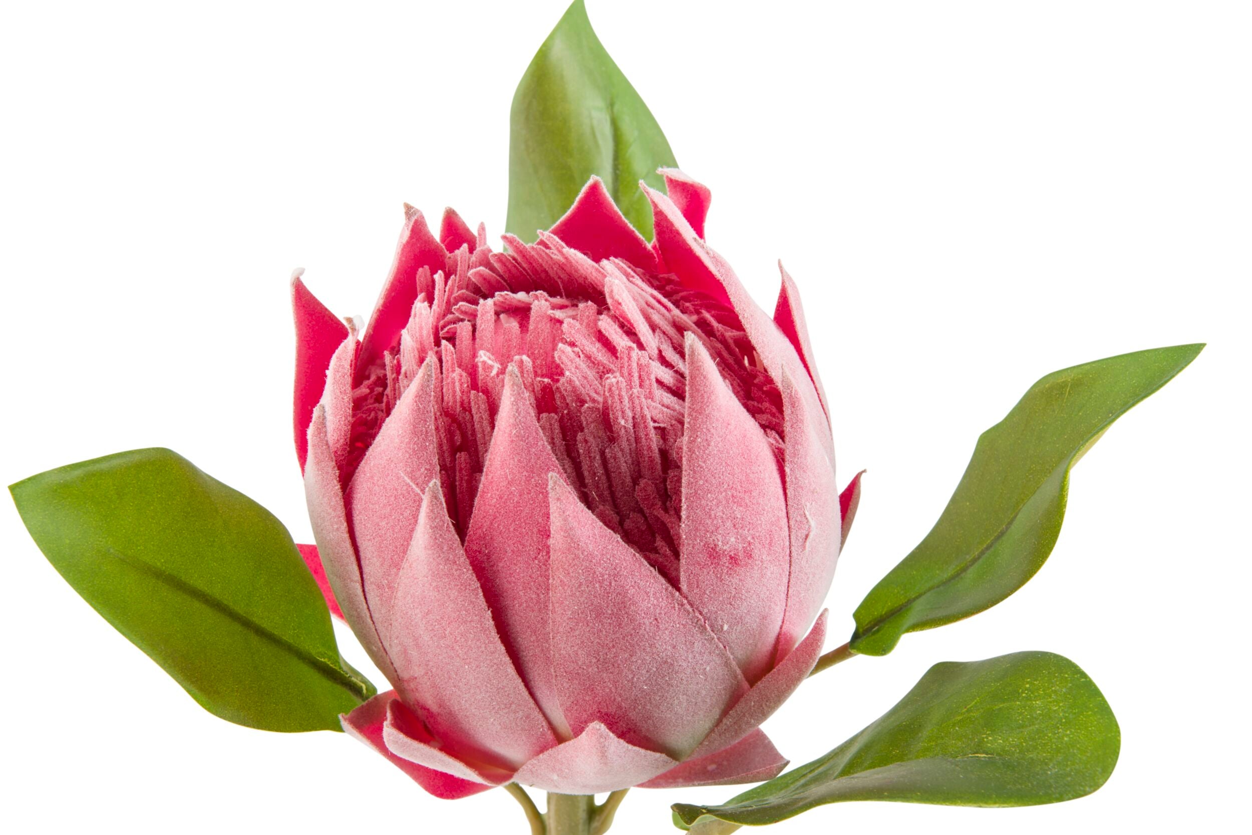 Premium 97cm Blume Protea Stem - Artificial Silk Flower for Home Decor, Wedding Bouquets & Floral Arrangements