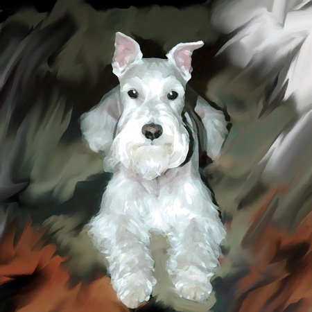 3dRose lsp_4827_6 White Schnauzer 2 Plug Outlet Cover - Decorative Electrical Safety Cover for Home & Office - Perfect for Living Room, Bedroom, or Nursery Decor