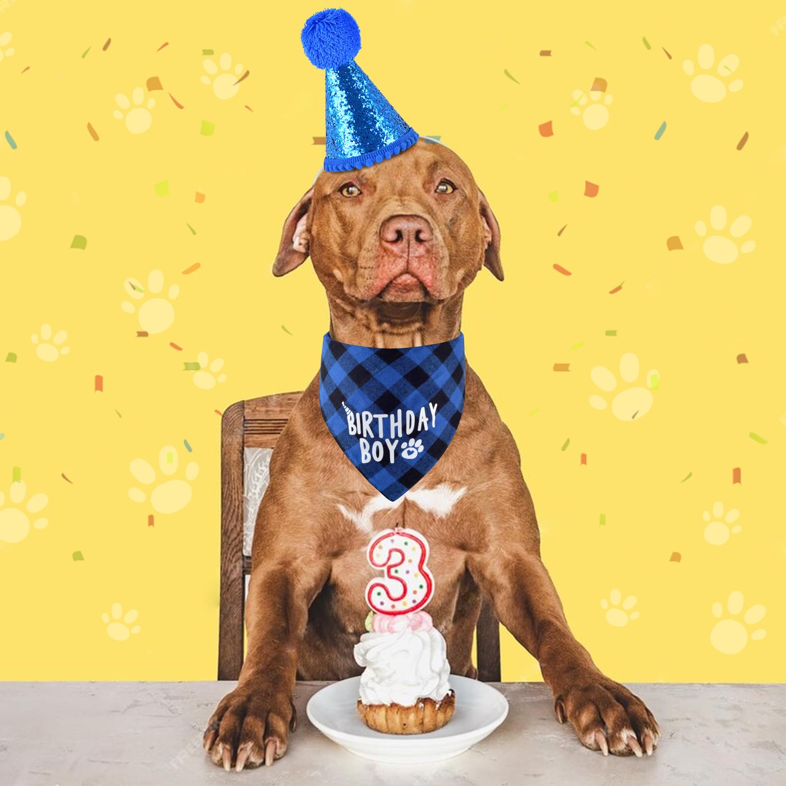 Dog Birthday Party Supplies Set - Adjustable Birthday Bandana & Hat with Numbers for Small, Medium, Large Dogs - Perfect for Puppy Birthday Celebrations, Pet Parties & Photo Shoots