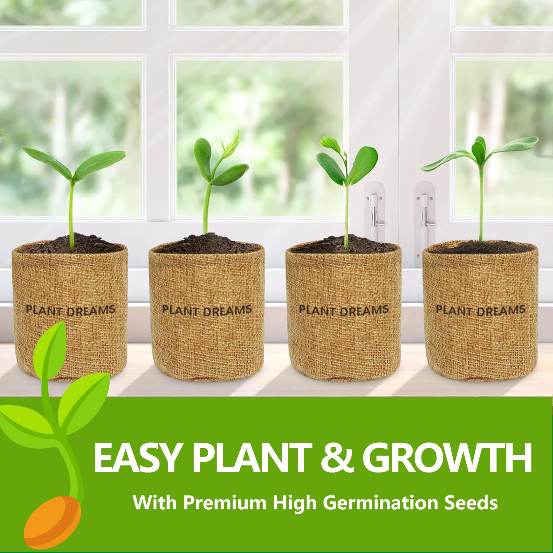 Bonsai Tree Kit - Complete Starter Set with 4 Bonsai Seeds, Essential Tools & Planters | Live Indoor Bonsai Plants | Perfect Gardening Gift for Women, Men, Mom & Dad | Ideal for Home Decor, Office Zen Garden & Plant Therapy