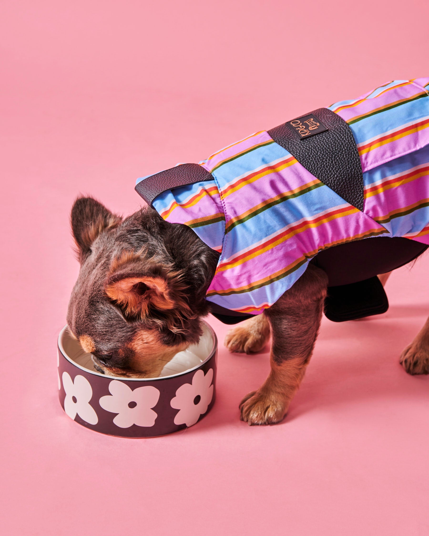 Fez Striped Dog Jacket - Waterproof & Warm Winter Coat for Small Medium Large Dogs - Perfect for Outdoor Walks, Hiking & Cold Weather Protection