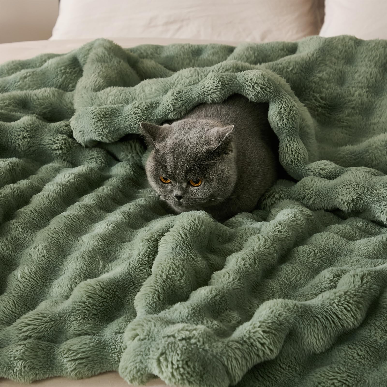 PU MEI Fleece Blanket 60x80 Inches - Ultra Soft Plush Sage Green Throw Blanket for Couch, Bed & Sofa | Luxury Bubble Fluffy Twin Extra Large Blanket for All Seasons | Perfect for Lounging, Netflix Nights & Winter Warmth