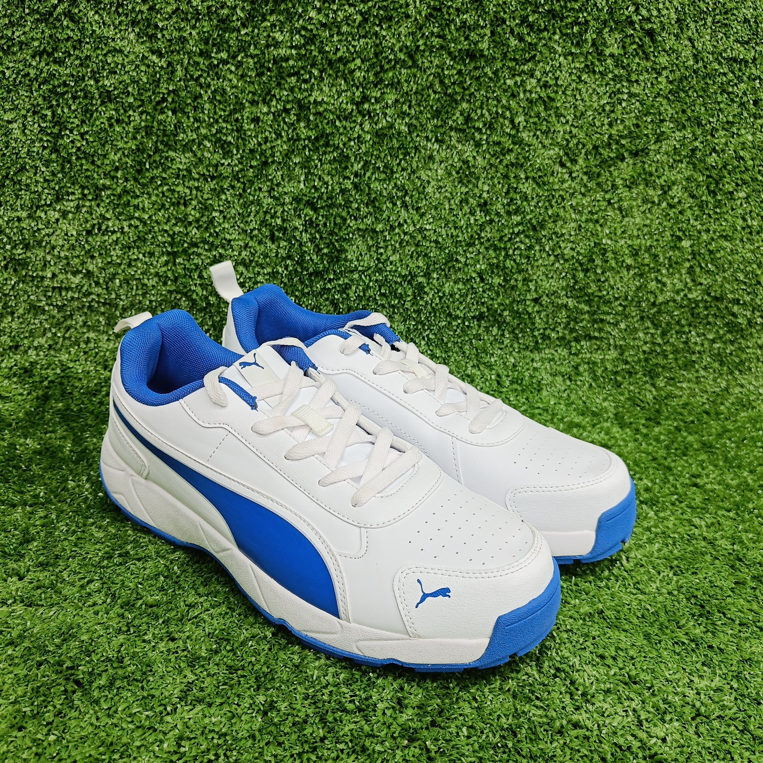 Puma White & Blue Team Royal Cricket Shoes - Lightweight & Durable for Men & Women - Perfect for Cricket Matches, Training & Outdoor Sports