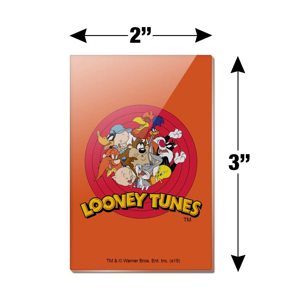 Looney Tunes Cartoon Characters Rectangle Acrylic Refrigerator Magnets - Fun Kitchen Decor for Fridge, Office, Dorm & Home Organization