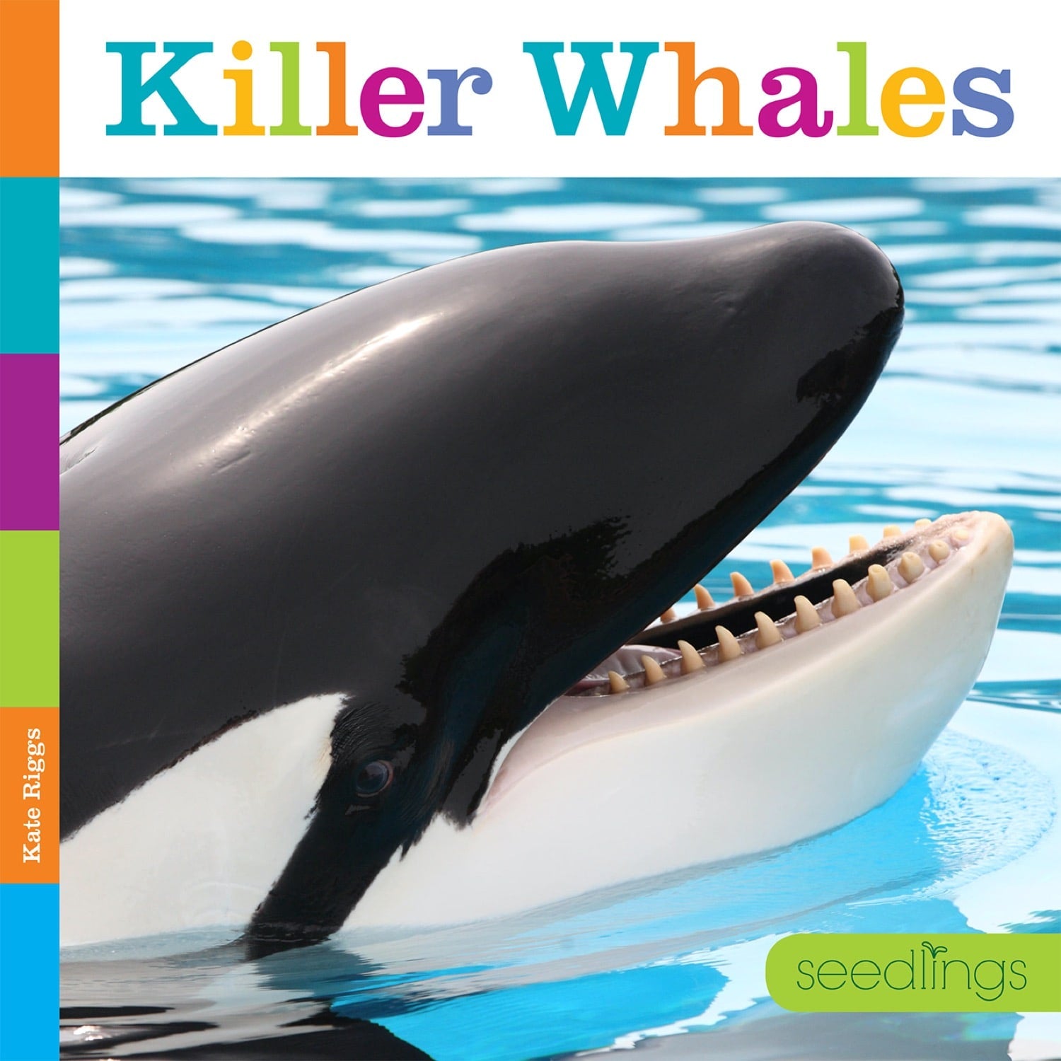 Killer Whales Book - 9781608188697 - Marine Life Guide, Orca Facts & Conservation - Perfect for Students, Researchers & Ocean Enthusiasts