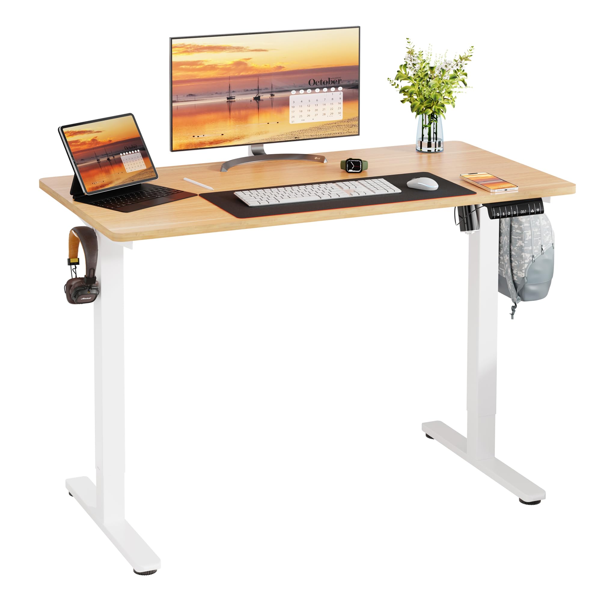 Adjustable Electric Standing Desk 48x24