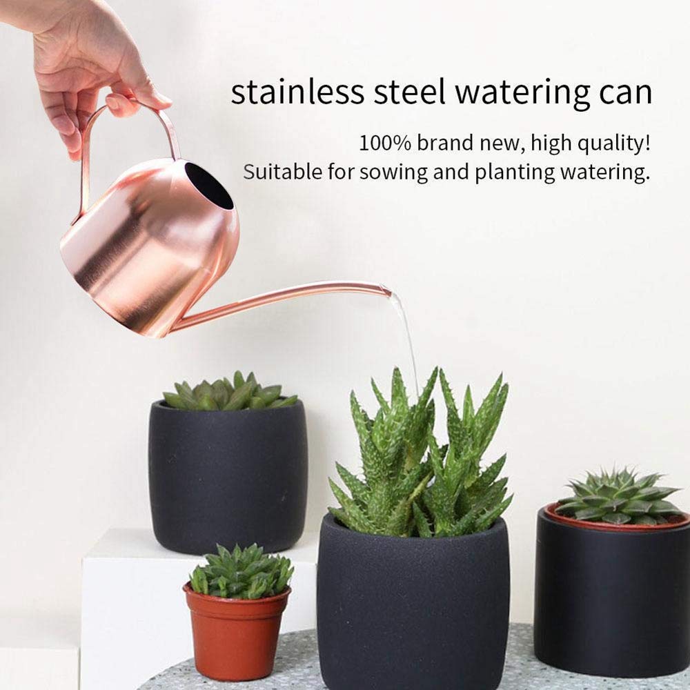 Rose Gold Watering Can - Mini Metal Watering Pot with Long Spout for Indoor & Outdoor Plants | Perfect for Houseplants, Succulents, Balcony Gardens and Flower Beds