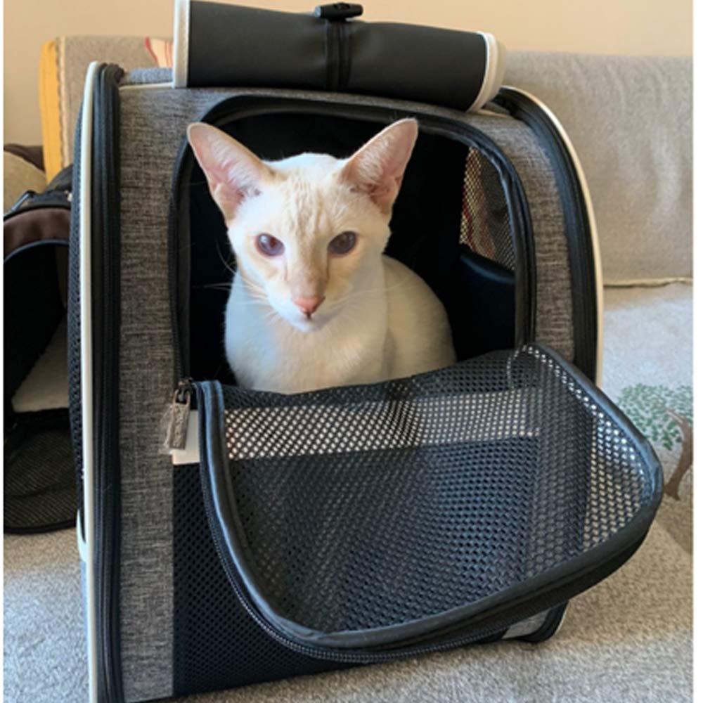 Texsens Pet Carrier Backpack for Small Cats & Dogs - Ventilated Design with Window Blind, Safety Straps & Buckle Support | Collapsible & Lightweight for Travel, Hiking, Vet Visits, Winter Outings & Outdoor Adventures | Perfect for Airplane Cabin, Road Trips & Daily Commutes