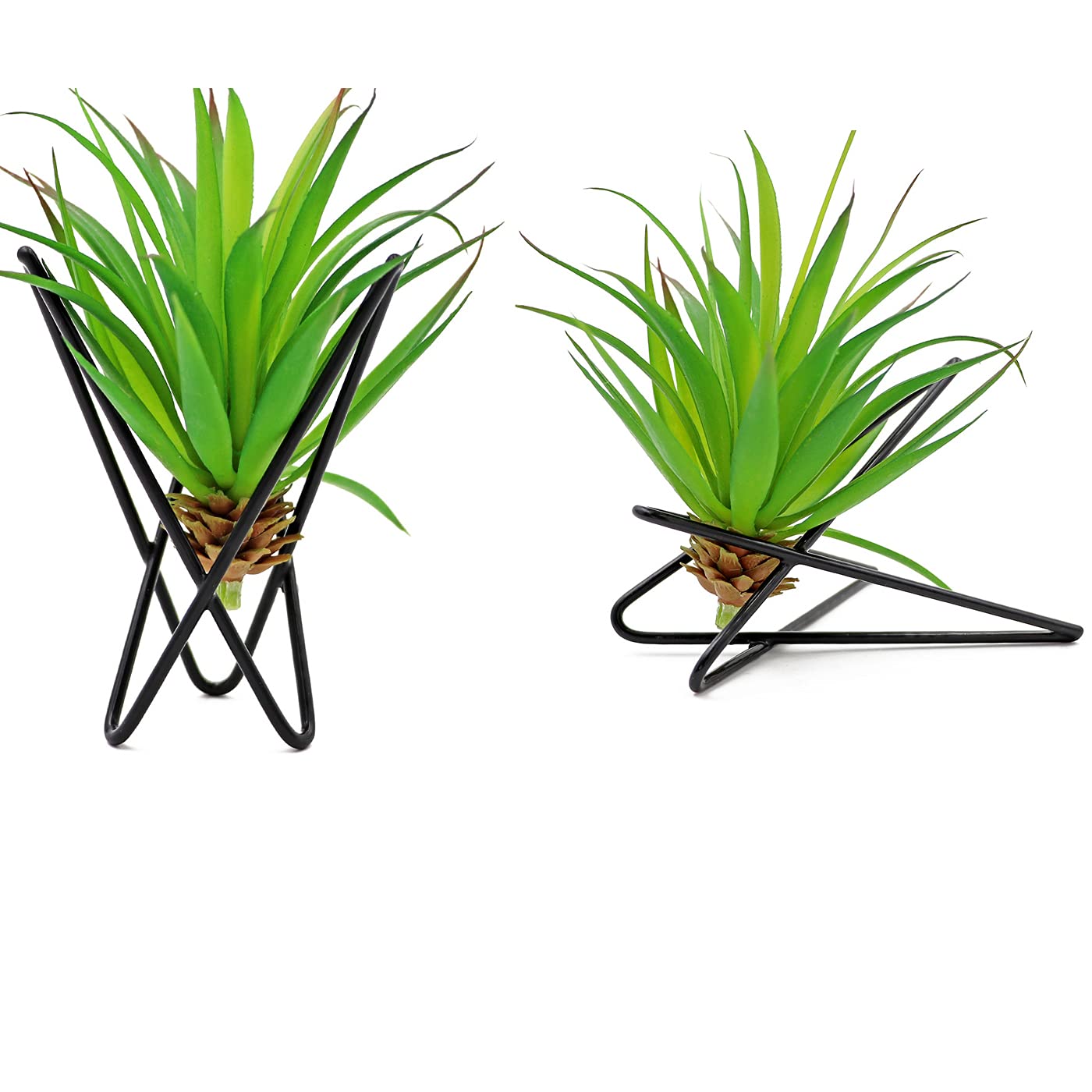 2 Pack Metal Air Plant Holder - Modern Tabletop Air Fern Display Stand for Home, Office & Wedding Decor | Perfect for Living Room, Desk & Event Centerpieces