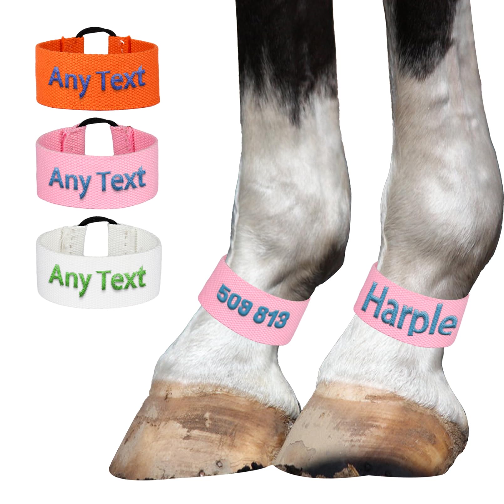 Custom Embroidered Horse Leg Bands with Personalized Names - Premium Equestrian Accessories for Training, Shows & Riding Comfort