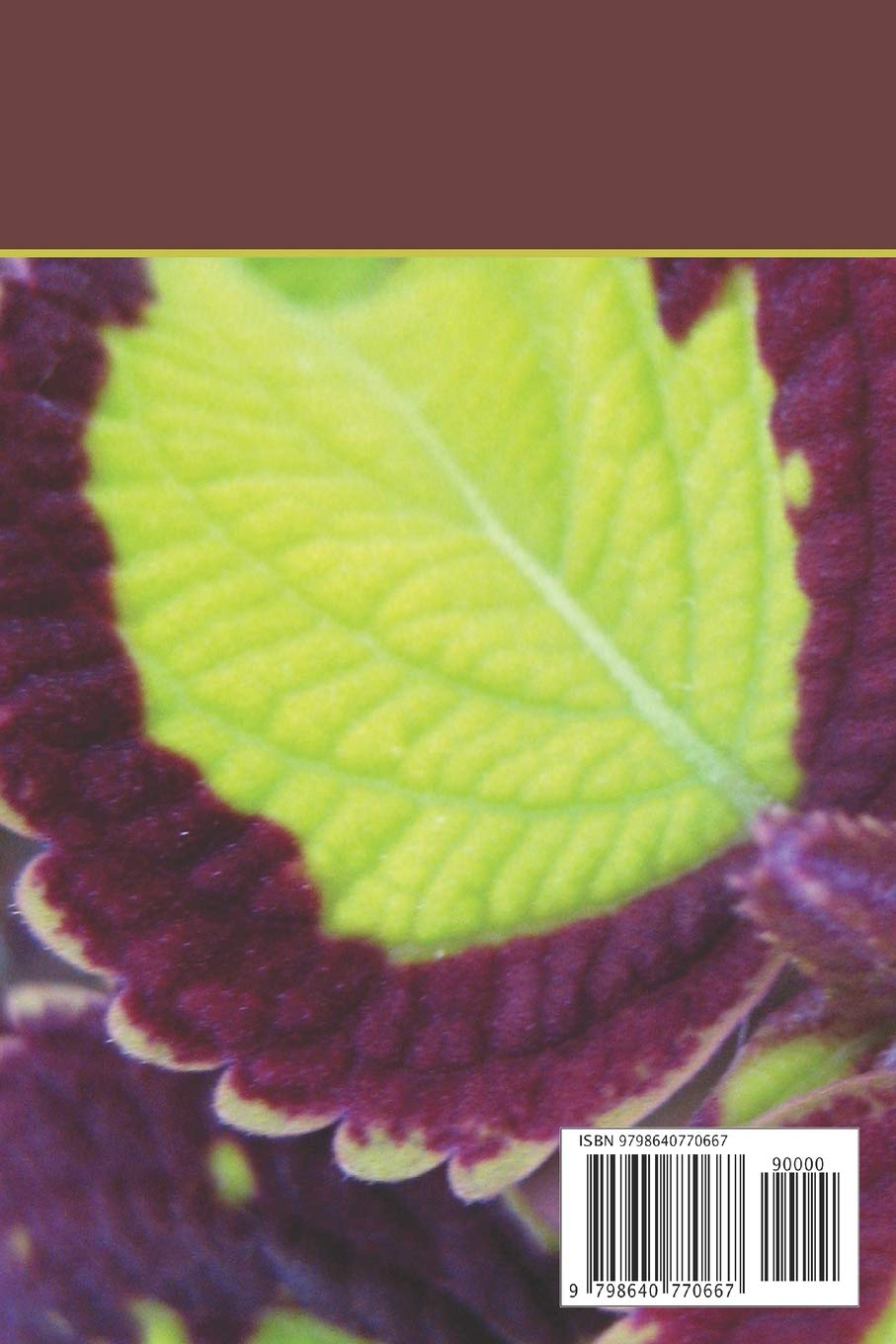 Christian Perfection - Inspirational Christian Gifts for Faith & Devotion | Perfect for Church, Bible Study & Spiritual Growth