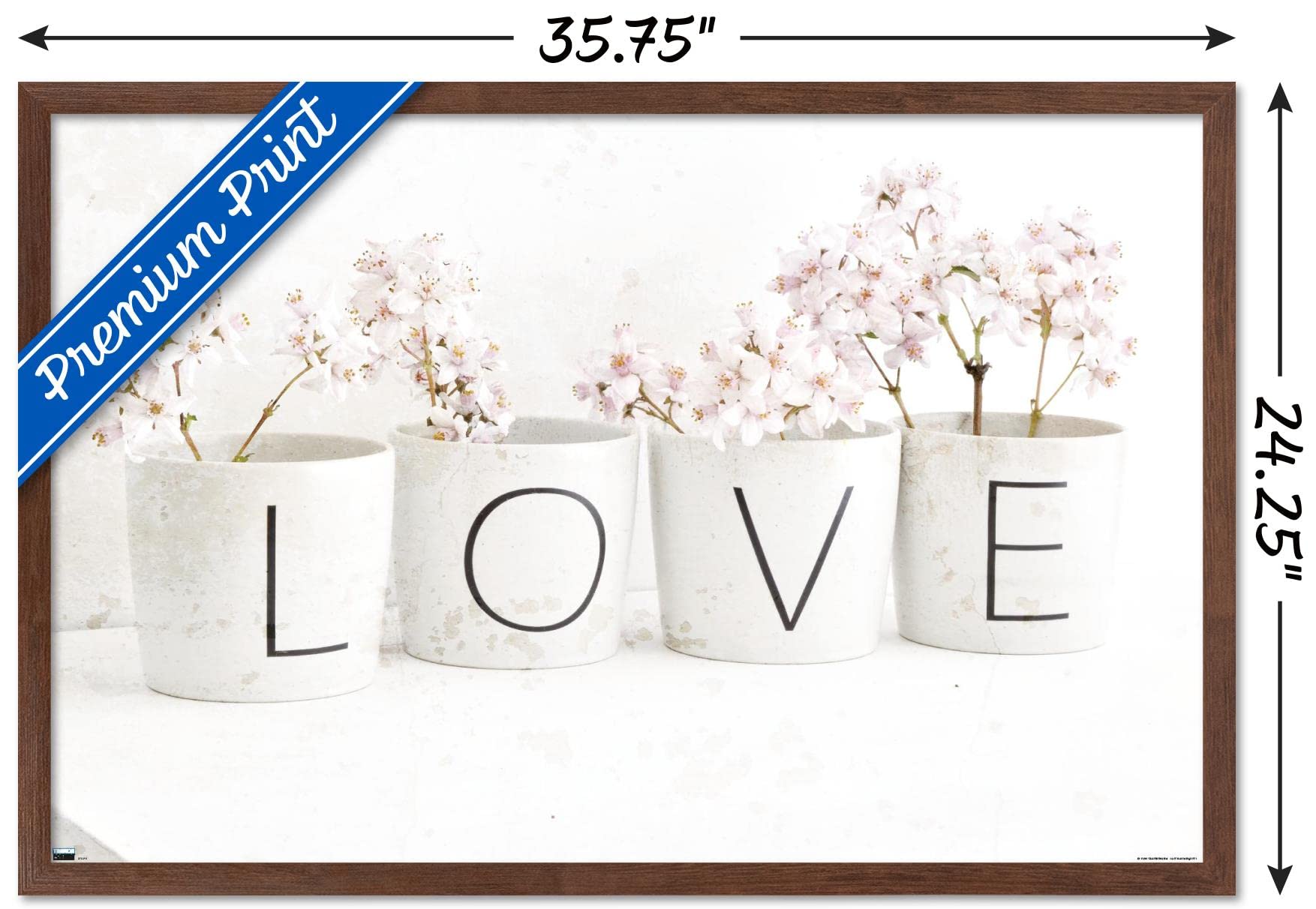 Trends International Tom Quartermaine Love Blossom in Cups Wall Art Poster - 22.375