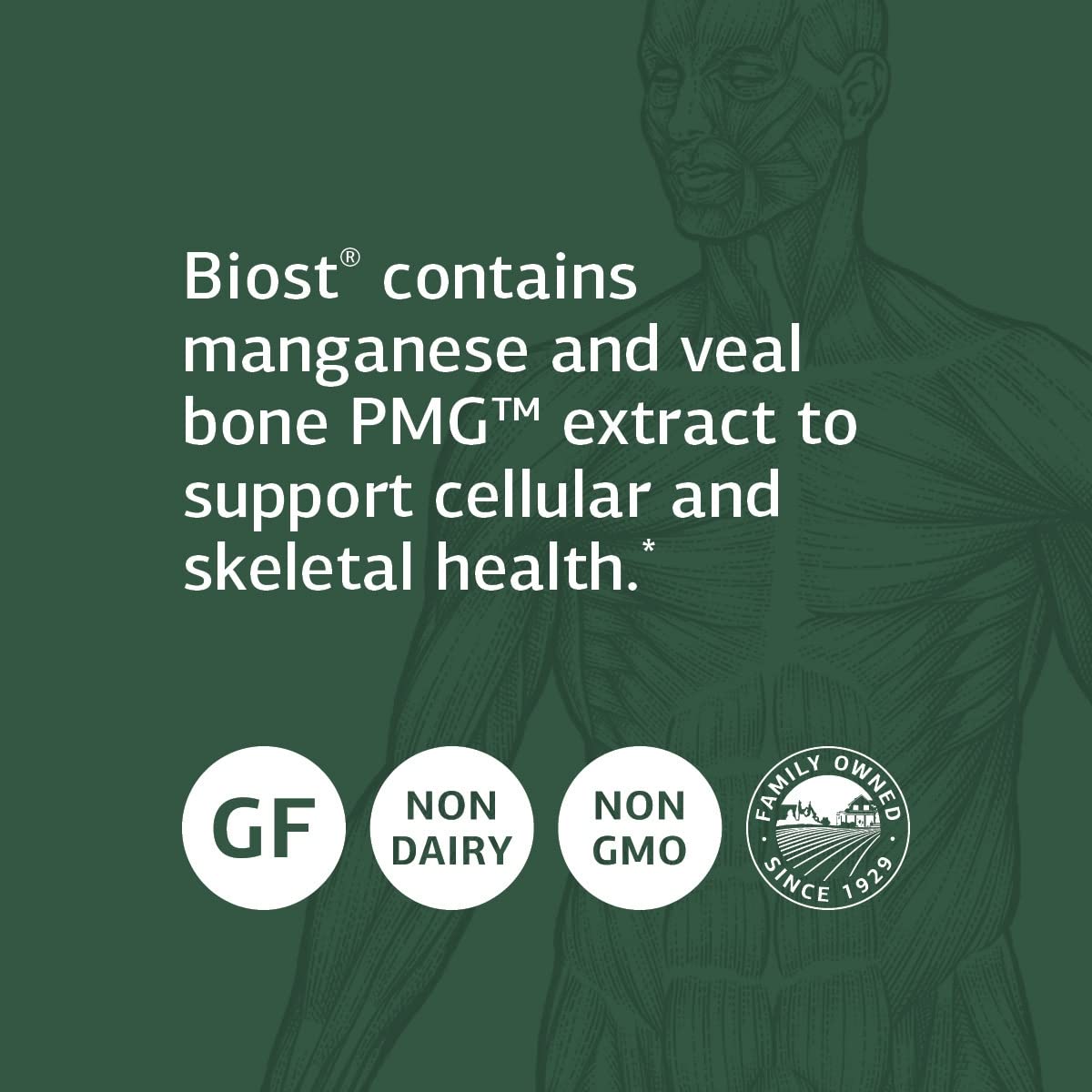 Biost Teeth and Bone Health Supplement by Standard Process Inc. - 180 Tablets with Whole Food Magnesium Citrate, Calcium Lactate & Manganese | Supports Strong Teeth, Healthy Bones & Joints - Ideal for Adults & Seniors