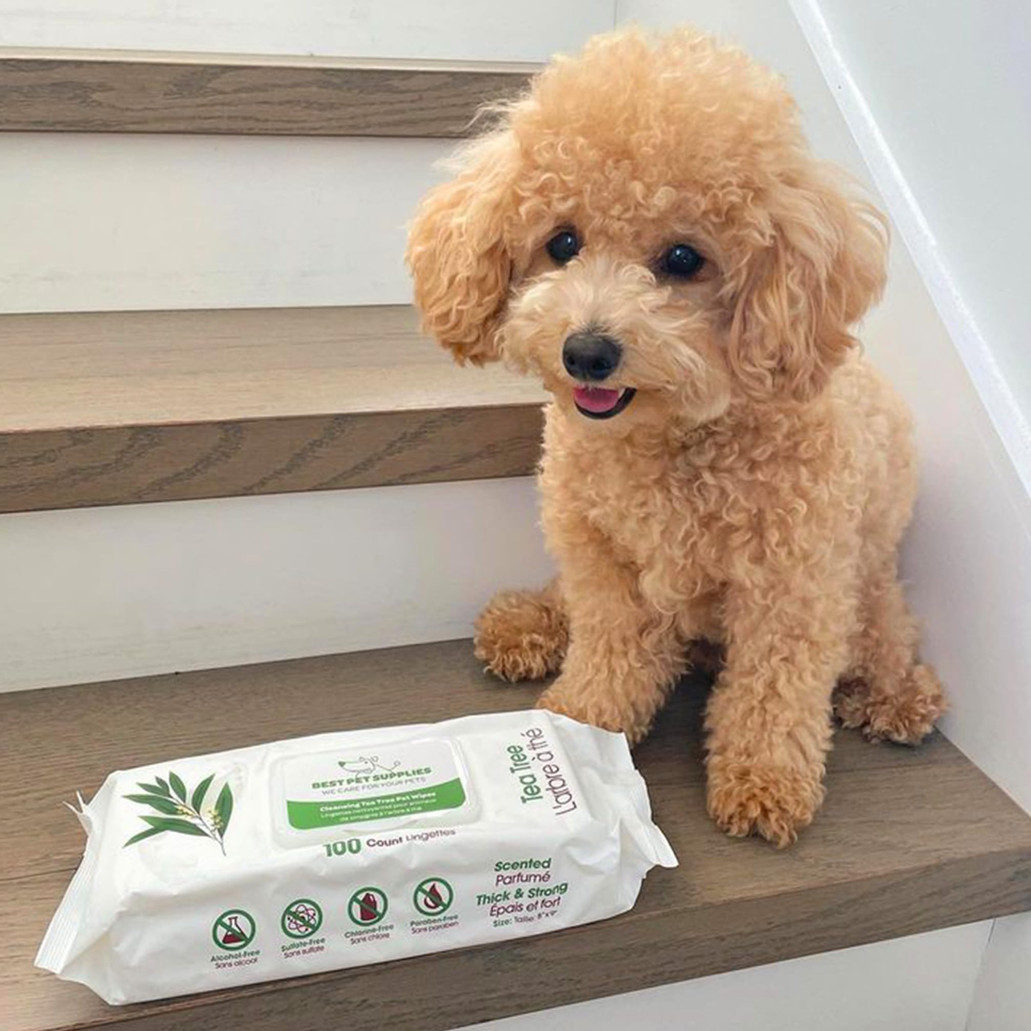 Premium Dog Wipes for Cleaning & Deodorizing - 100 Count Tea Tree Infused Pet Wipes for Coat, Ears & Paws - Gentle Hypoallergenic Grooming Supplies for Dogs - Perfect for Post-Walk Cleanup, Travel & Daily Hygiene Care