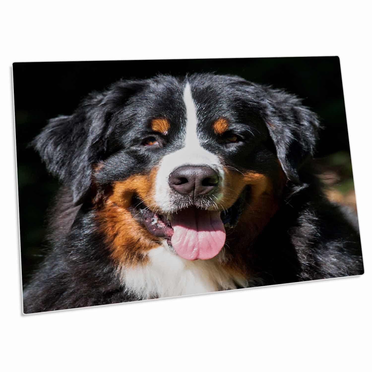 3D Rose Bernese Mountain Dog Portrait Non-Slip Desk Pad & Place Mats Set (dpd-258134-1) - Perfect for Dining Table, Office Desk, and Home Decor