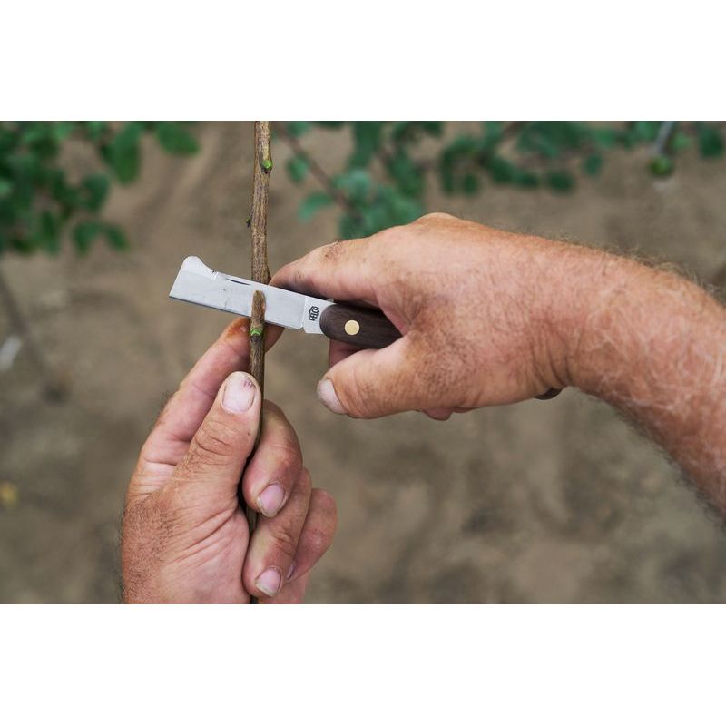 FELCO 512 Professional Budding and Grafting Knife - High-Quality Gardening Tool for Fruit Trees, Roses & Plants - Perfect for Pruning, Grafting & Budding in Home Gardens & Orchards