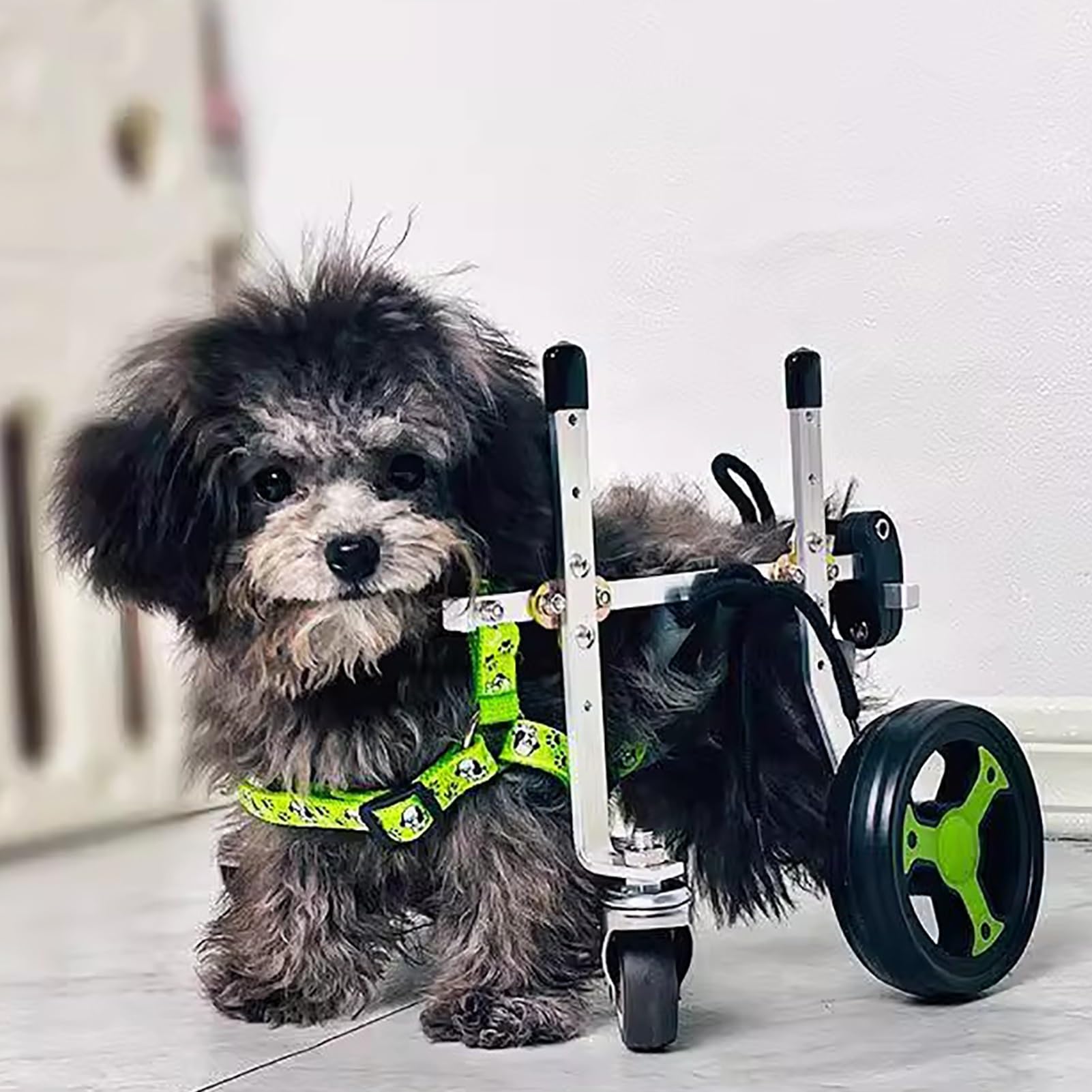 Dog Wheelchair for Back Legs - 4-Wheel Mobility Aid & Rehabilitation Support Cart for Disabled Dogs - Helps Pets Stand & Walk (Size XS) - Ideal for Post-Surgery Recovery & Daily Mobility Assistance