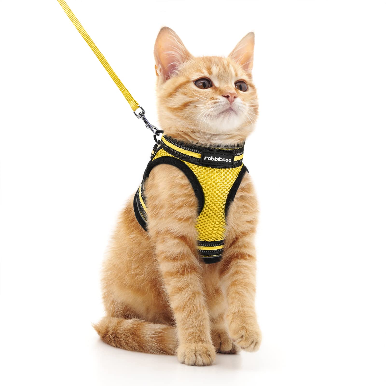 Rabbitgoo Escape Proof Cat Harness and Leash Set - Adjustable Soft Kitten Vest with Reflective Strips for Safe Outdoor Walking - Comfortable Pet Safety Vest in Bright Yellow (Size M) - Perfect for Park Adventures, Vet Visits, and Travel