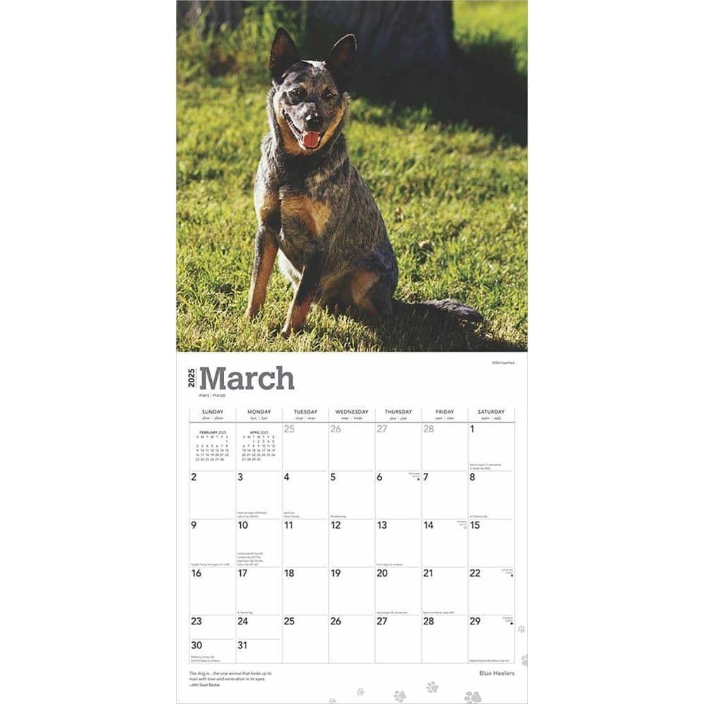 2025 Brown Trout & Blue Heelers Wall Calendar - Fishing & Dog Lovers Monthly Planner for Home, Office, or Gift