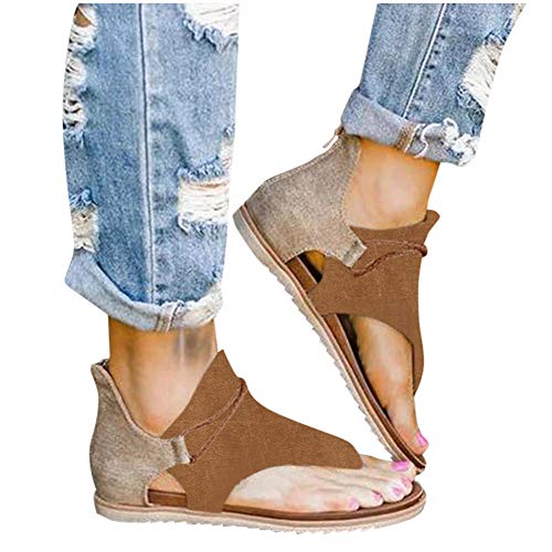 Z9-brown