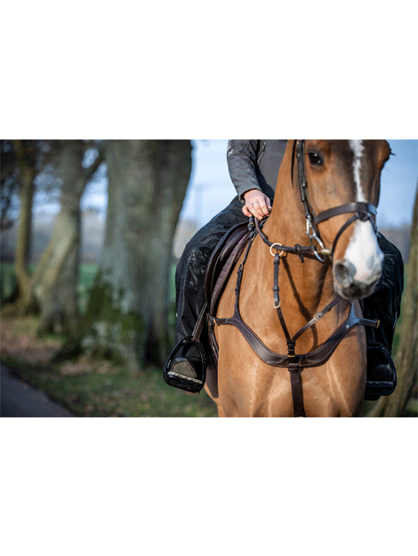 Le Mieux DryTex Stormwear Waterproof Horse Riding Chaps - Durable & Breathable Equestrian Leg Protection for Rainy Weather & Outdoor Riding