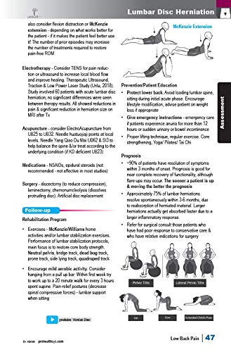 Best Low Back Pain Relief Products - Effective Solutions for Chronic & Acute Pain | Home, Office & Travel Use