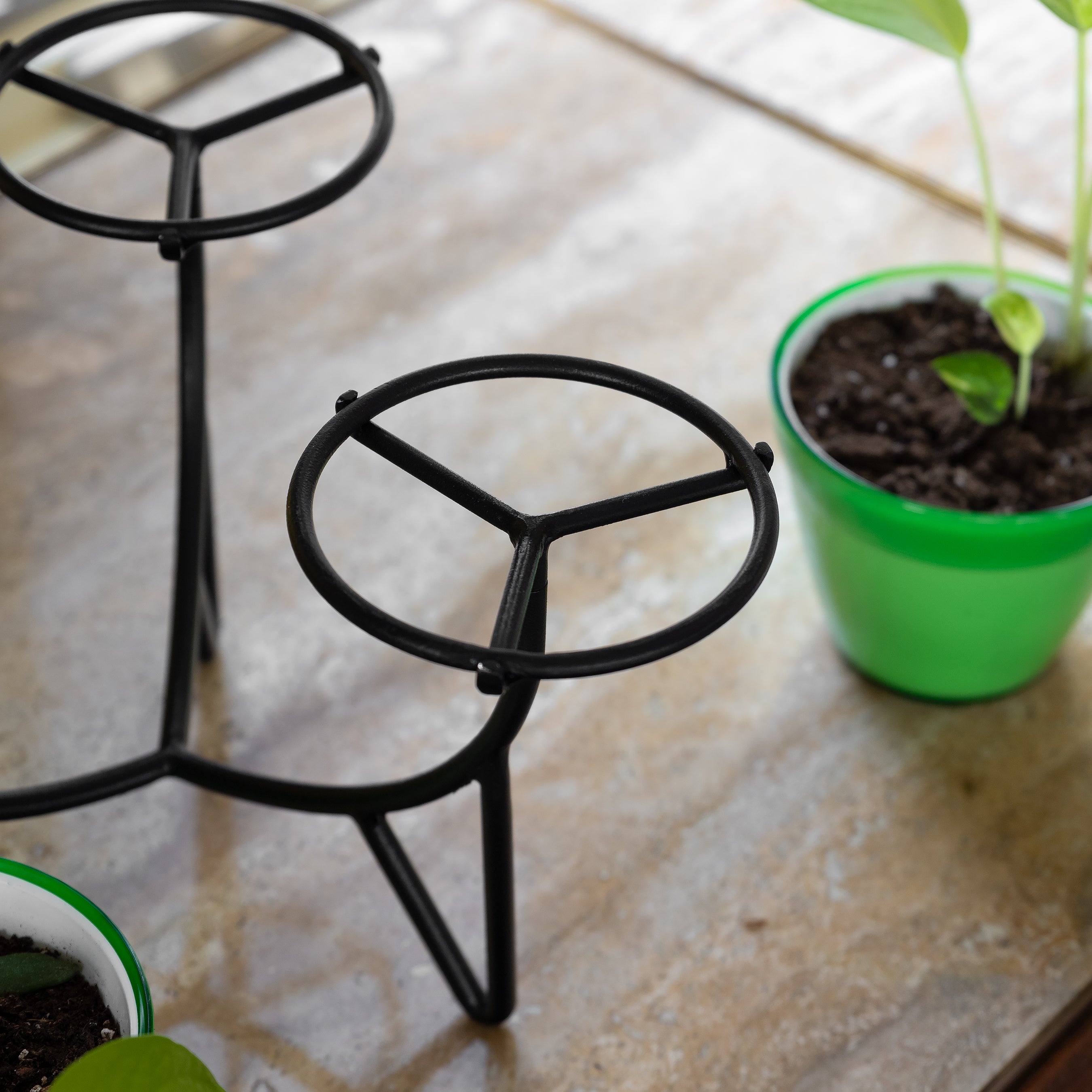Achla Designs Frida Plant Stand - Modern Indoor & Outdoor Flower Pot Holder for Home Decor, Garden, Patio, and Balcony