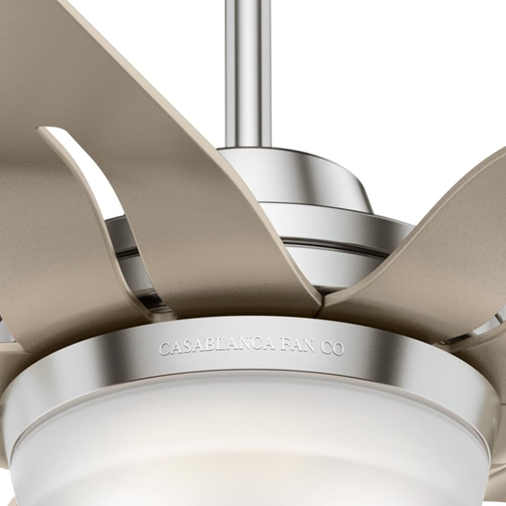 Hunter Fan Company Casablanca 56