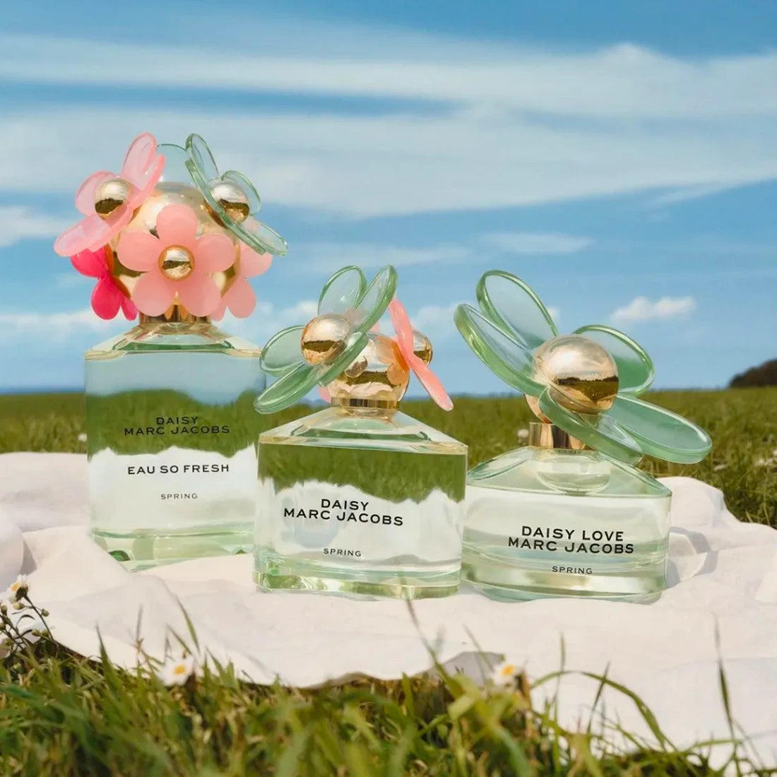 Daisy Love Spring Limited Edition 1.6 oz Eau de Toilette for Women - Floral Fragrance for Daytime Wear & Special Occasions
