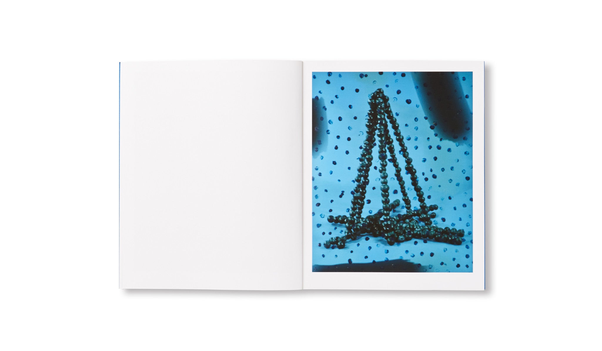 PROBLEMS WITH DECOMPOSITION by Sam Falls - Signed First Edition Art Book | Contemporary Art Photography Collection | Perfect for Art Collectors & Gallery Displays
