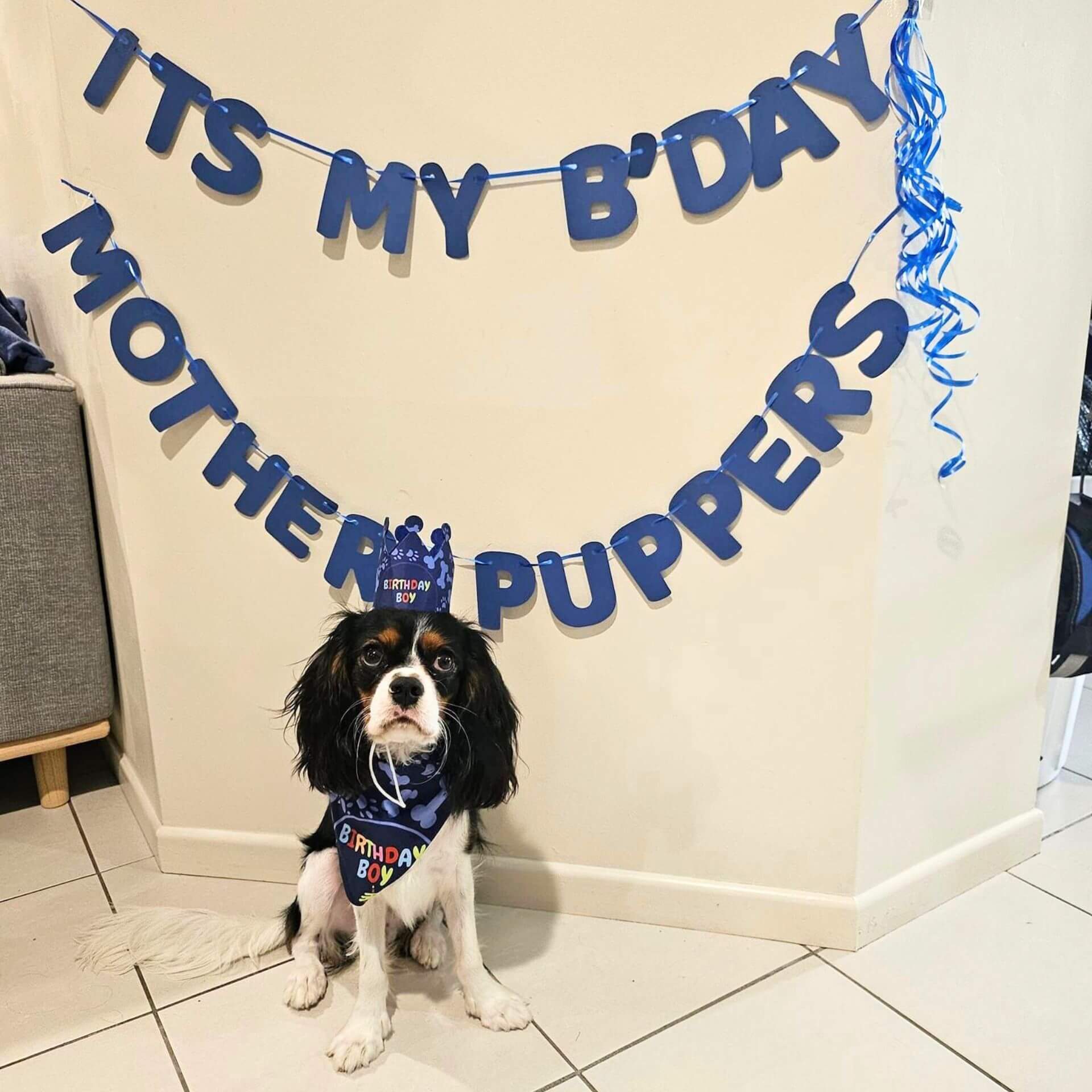 Blue Dog Birthday Crown, Bandana & Banner Set - Pet Party Decorations for Puppy Birthday Celebrations - Perfect for Dog Birthday Parties & Photo Shoots