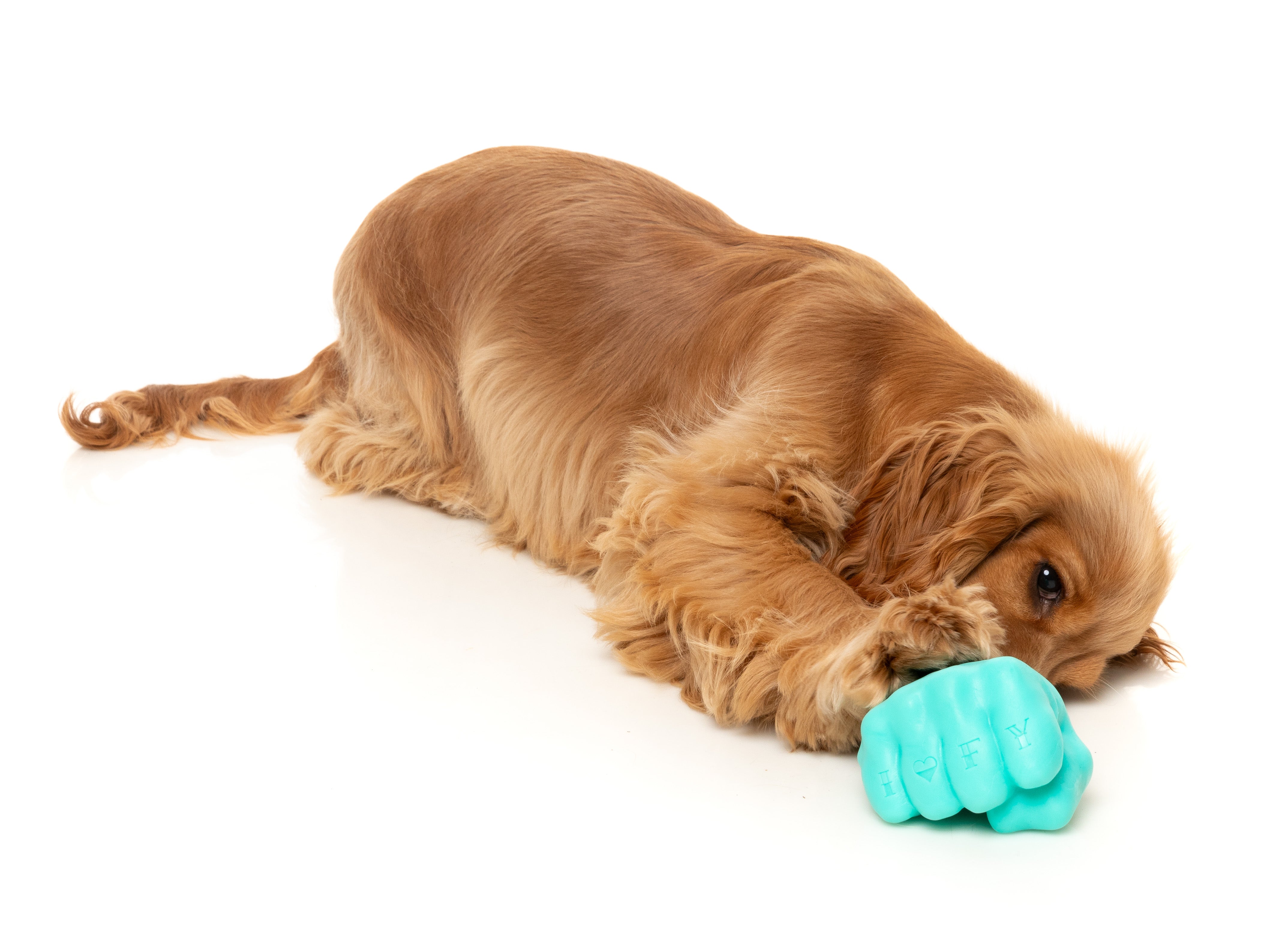Fuzzyard Interactive Dog Chew Toy with Treat Dispenser - Knuckle Sandwich Design for Boredom Relief & Dental Health | Perfect for Training, Playtime & Anxiety Relief
