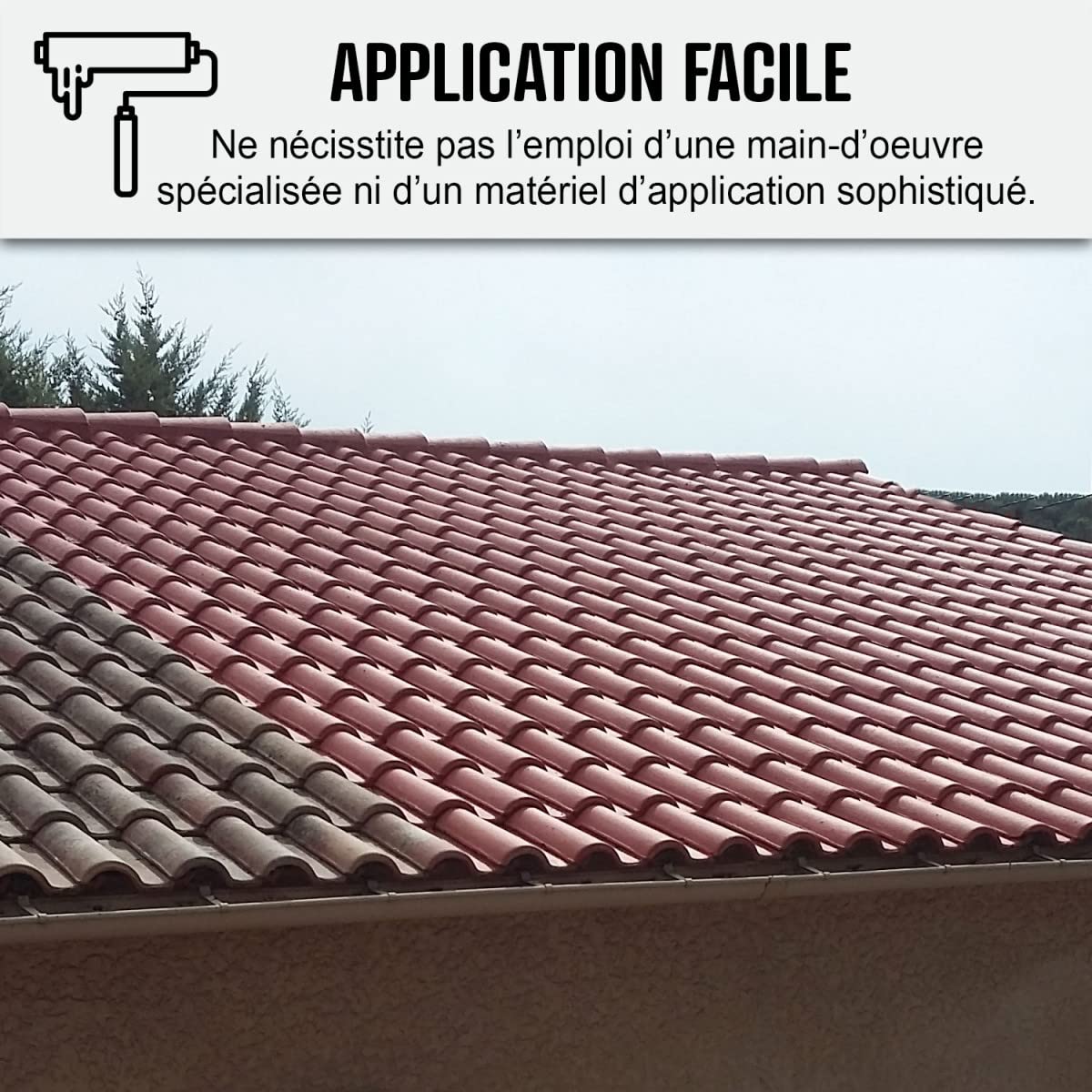 Waterproofing Resin - Roof Waterproof Paint - Special for Sloped Roofs: ARCAFILM - 0.75 L White - ARCANE INDUSTRIES | Ideal for Home Roof Repairs, Leak Protection & Weatherproofing