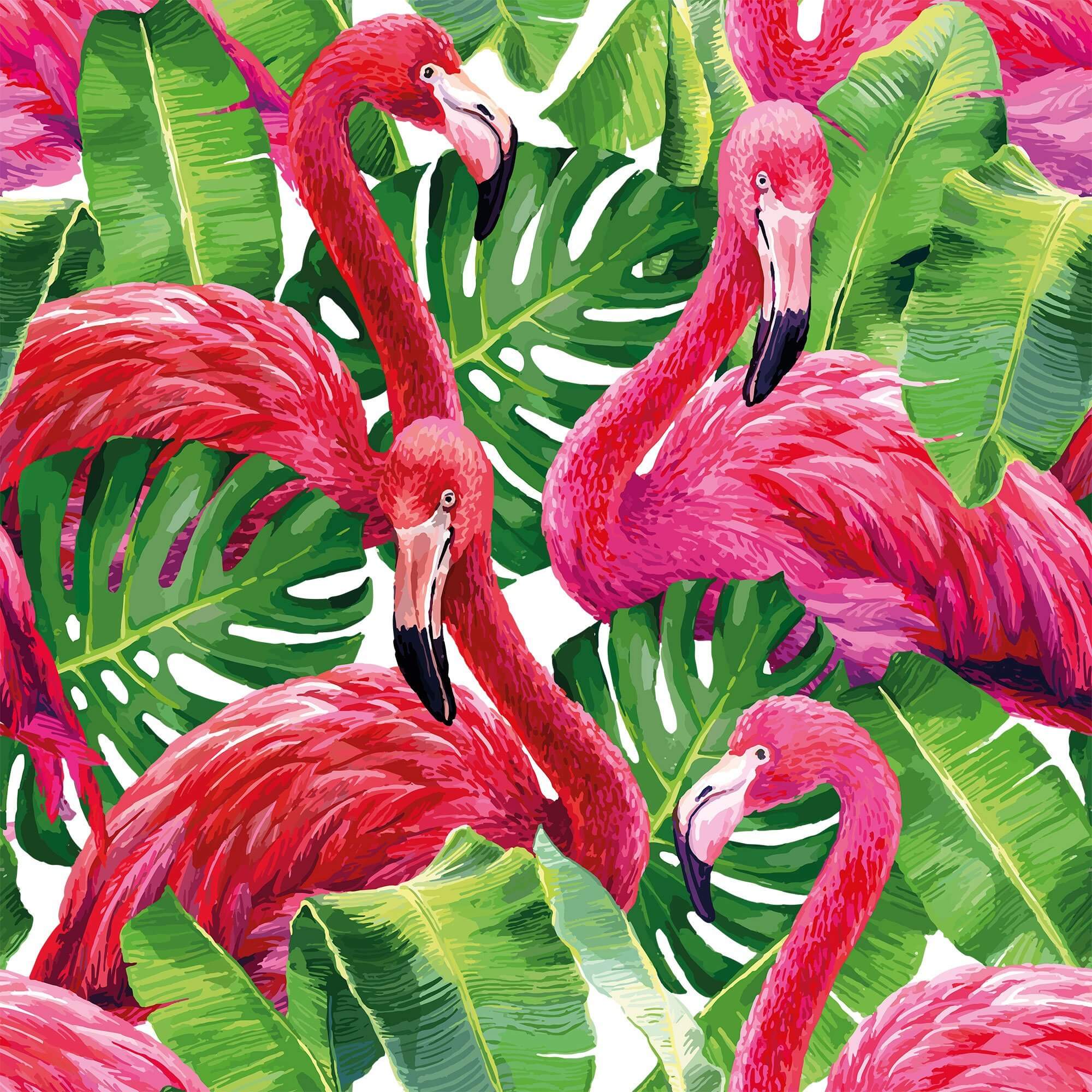 Green and Fuchsia Bird Animal Peel and Stick Removable Wallpaper 3044 - Self-Adhesive Decorative Wallpaper for Nursery, Bedroom, or Living Room Decor