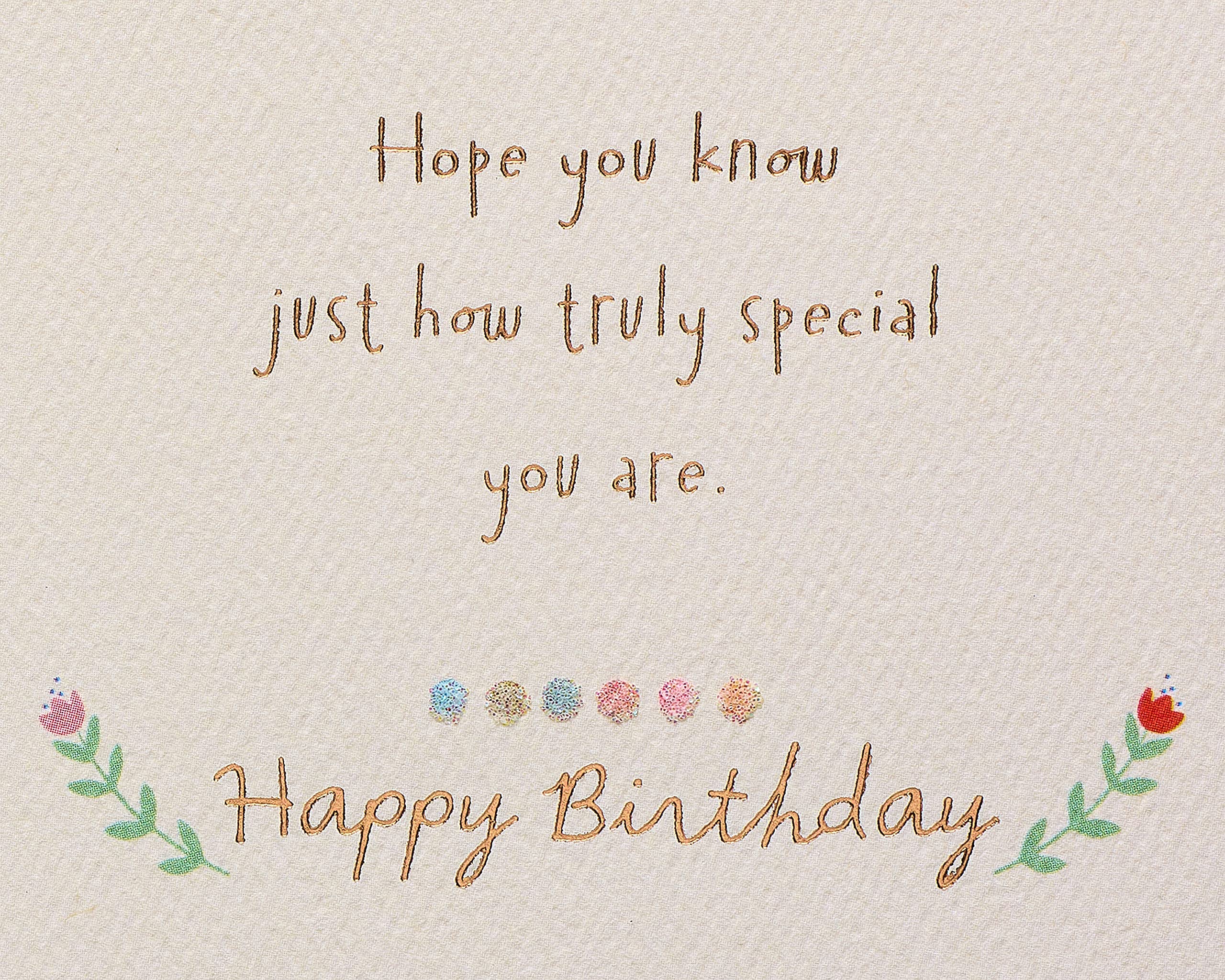 American Greetings Birthday Card for Granddaughter - No One Else Like You - Heartfelt Granddaughter Birthday Greeting Card - Perfect for Birthdays, Grandparents Day & Special Occasions