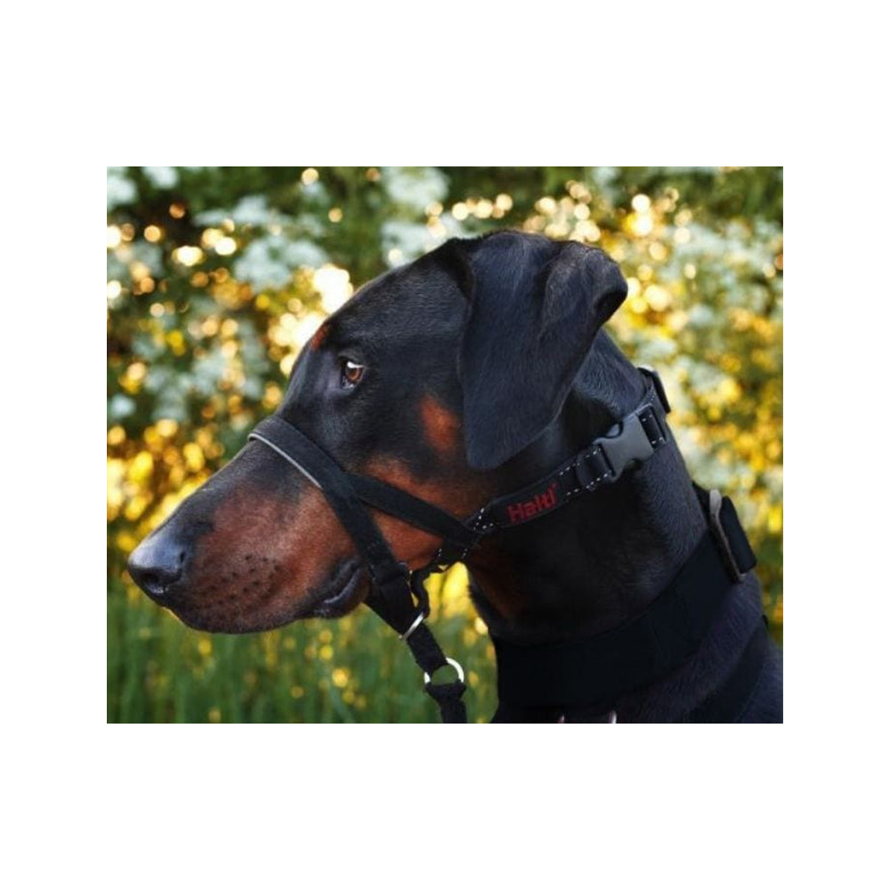 Halti Dog Headcollar - Gentle No-Pull Dog Training Collar for Medium & Large Breeds - Perfect for Walking, Training & Behavioral Control