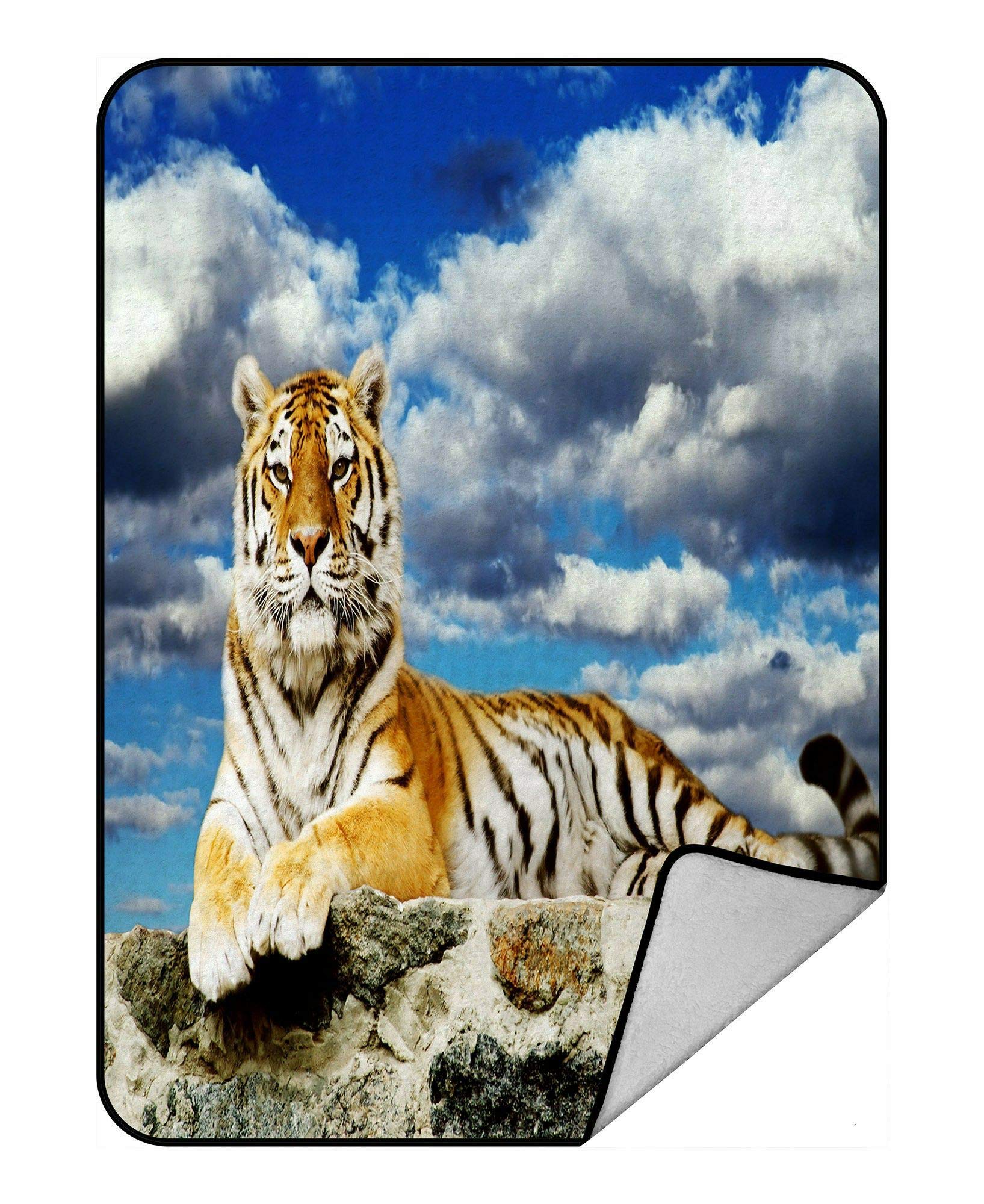 ECZJNT Tiger Lay Storm Sky Throw Blanket - Soft Fleece & Plush Blanket 58x80 Inch - Perfect for Sofa, Bed, Couch & Outdoor Use