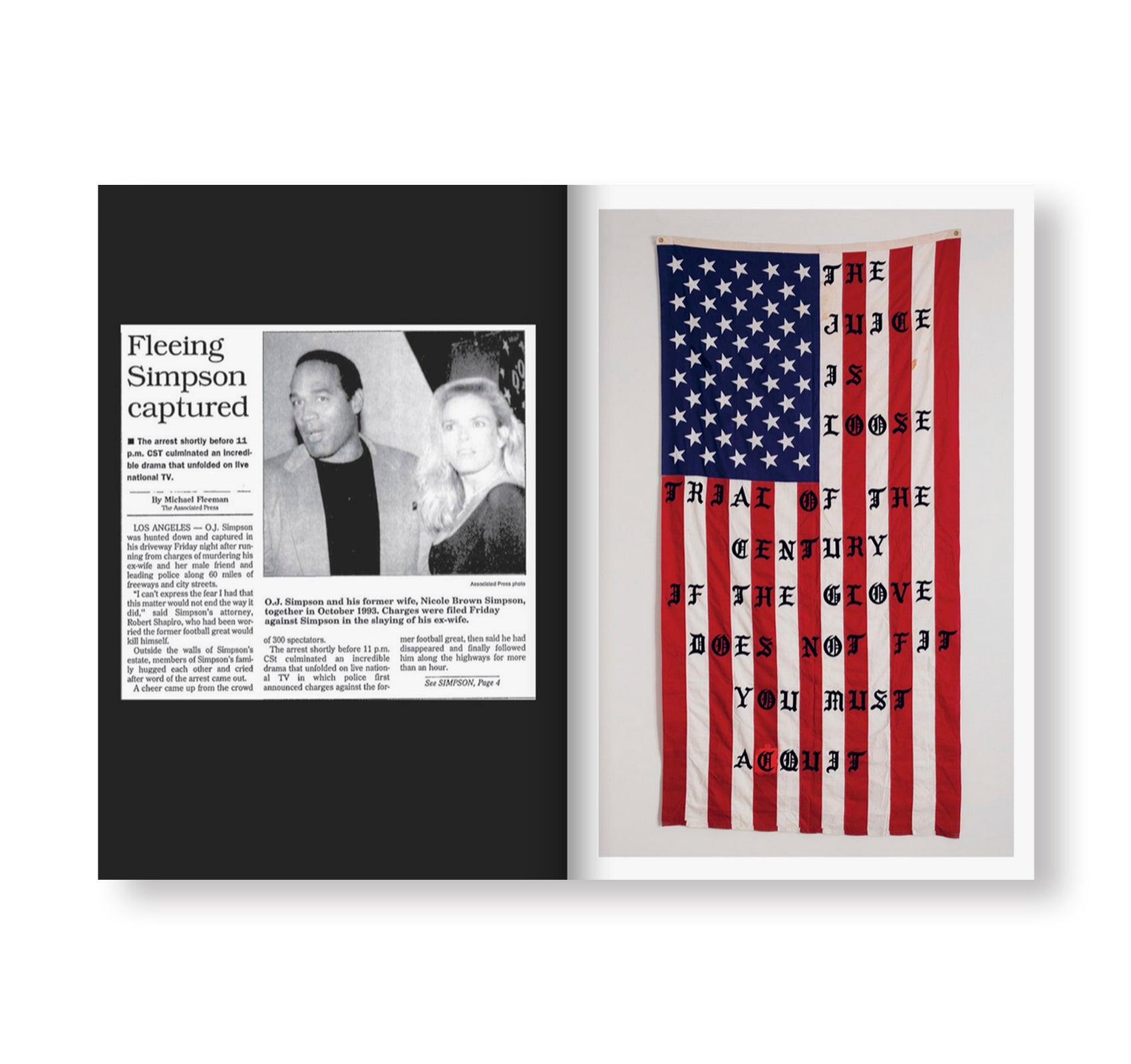 29 FLAGS by Cali Thornhill DeWitt - Limited Edition Art Flags for Home Decor, Wall Art & Streetwear Fashion | Perfect for Urban Lifestyle, Music Festivals & Creative Spaces