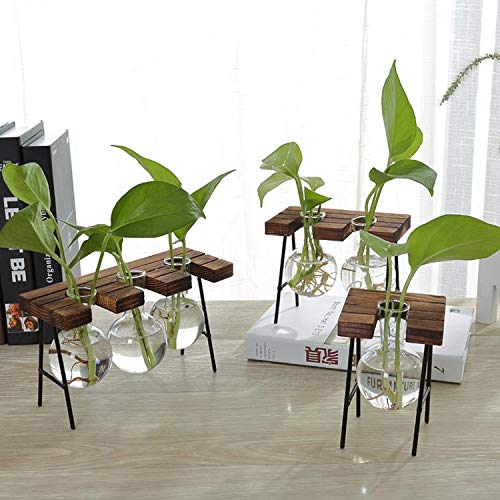 Modern Double Balls Glass Desk Vase - Hydroponic Plant Terrarium Container with Wooden Stand (Double Hang Post) - Perfect for Office Decor, Home Plants & Succulent Displays