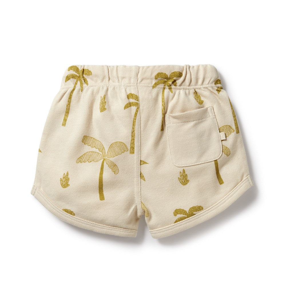 Organic Cotton Shorts for Women - Comfortable & Breathable Summer Shorts - Perfect for Yoga, Running, and Casual Wear | Palm Days Collection