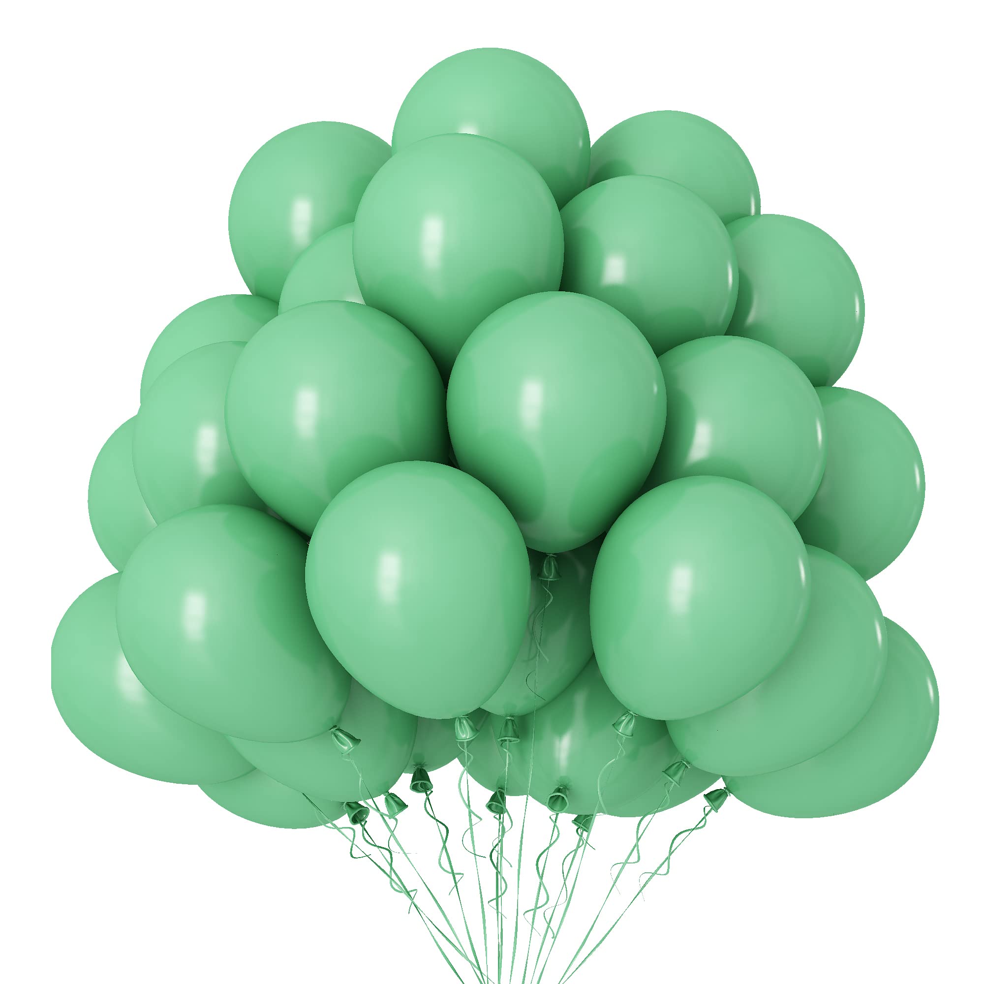 100Pcs Sage Green Latex Balloons 12 Inch - Helium Balloons for Wild One Birthday, Jungle Safari, Dinosaur Party, Graduation, Baby Shower, Wedding, Engagement, Anniversary Decorations - with Ribbons for Party & Event Decor