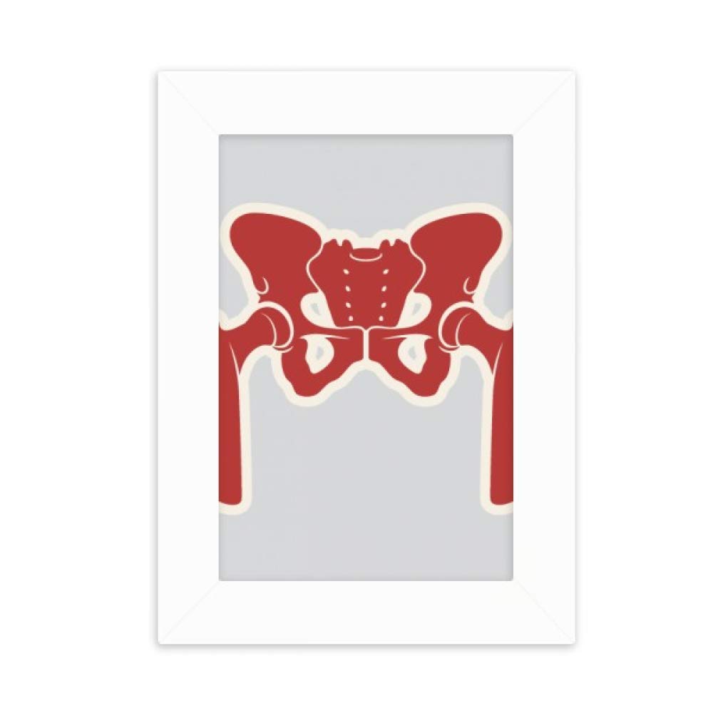 DIYthinker Human Hip Joint Anatomy Art - Desktop Photo Frame with Bone Illustration - Unique Home & Office Decor for Medical Students, Doctors, and Science Enthusiasts - Perfect for Study Rooms, Clinics, and Gift Giving