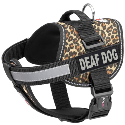 Leopard Brown