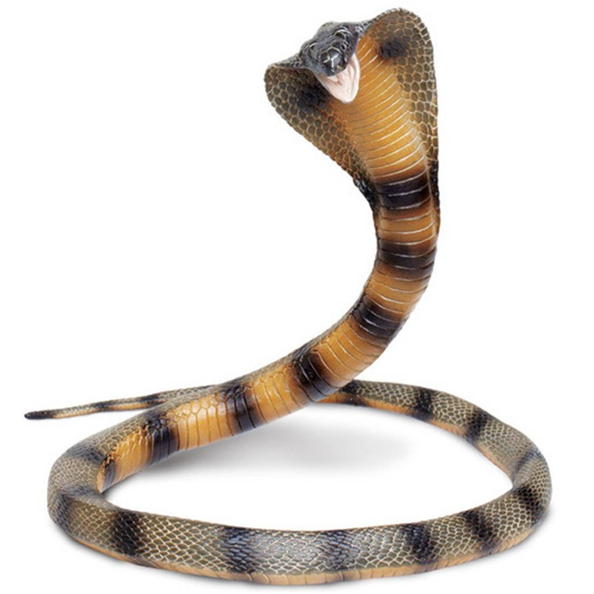 Cobra Snake Toy Figure - Realistic Safari Ltd Wildlife Animal Model for Kids - Perfect for Educational Play, Nature Exploration & Collectibles