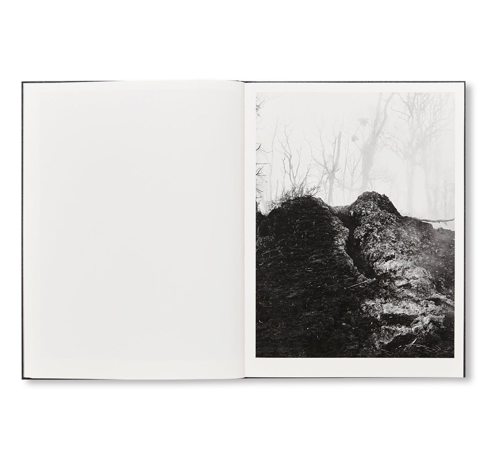 12 HZ by Ron Jude [SIGNED] - Limited Edition Photography Book for Art Collectors & Home Decor | Perfect for Coffee Table Display & Gift Giving
