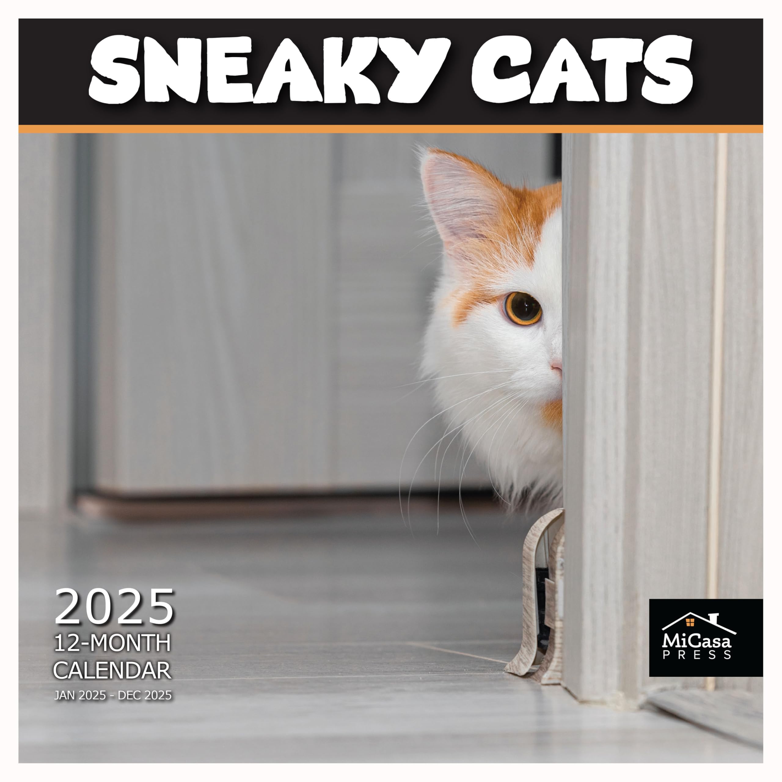 MICASA Sneaky Cats 2025 Wall Calendar - 12 Month Funny Cat Calendar (12