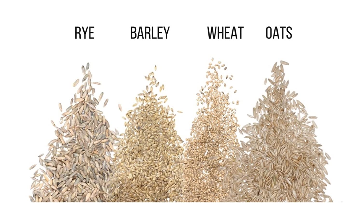 Organic Cat Grass Seeds for Growing - 4 Way Blend with Rye, Wheat, Oats & Barley (1/2 LB) | Healthy Indoor Cat Grass Kit for Digestion & Hairball Relief | Perfect for Cat Lovers & Pet Owners