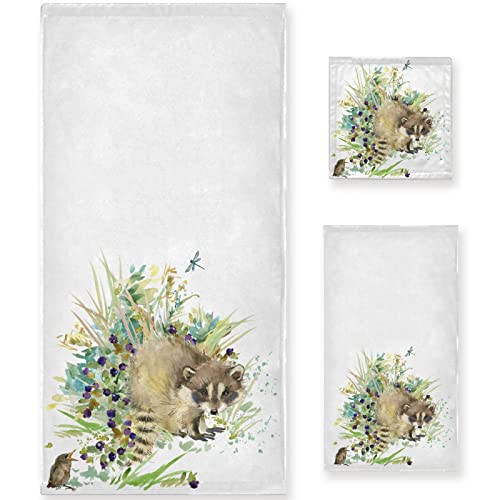 Raccoon