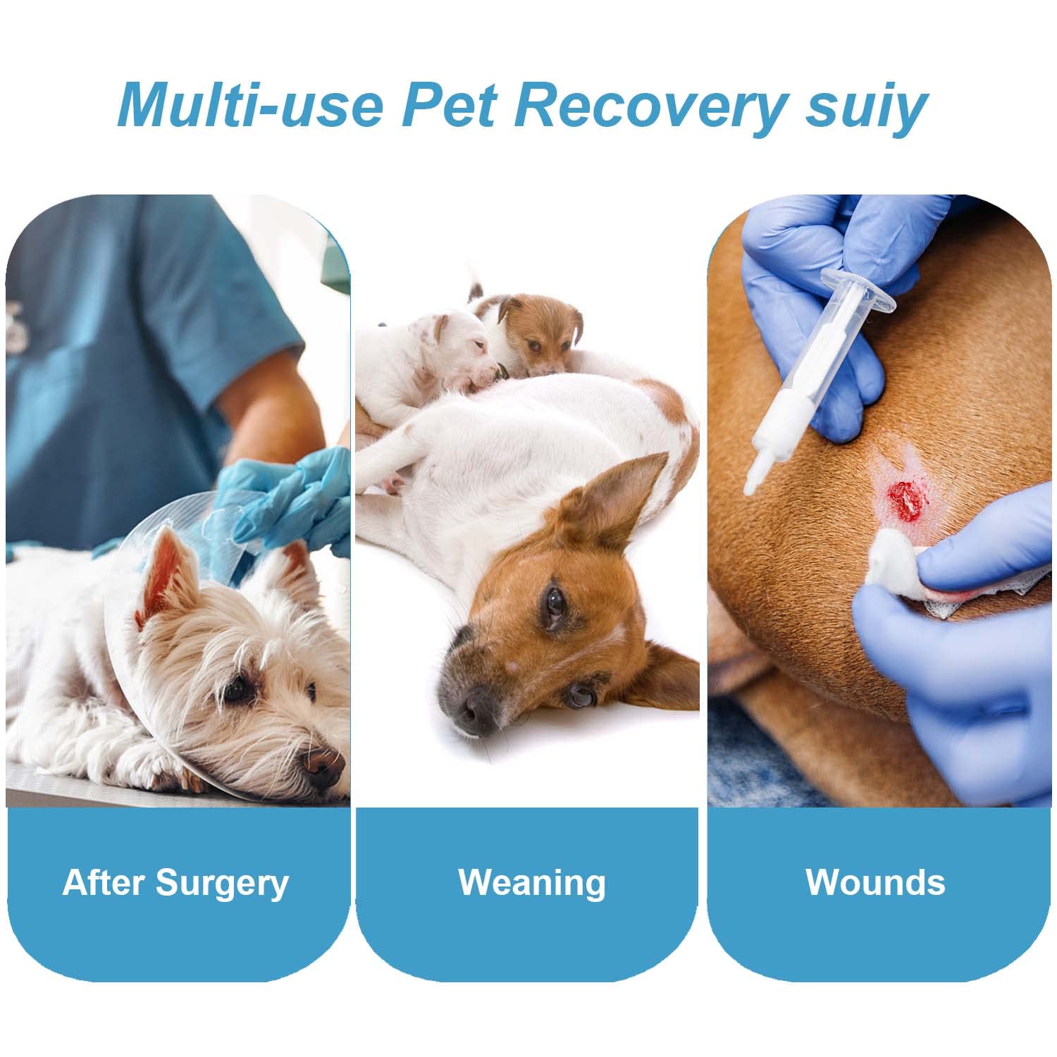 Dog Surgery Recovery Suit for Spay/Neuter - Post-Op Protective Onesie for Female & Male Dogs - Rainbow Stripe Design - Small Size - Ideal for Wound Protection & Comfort After Vet Procedures